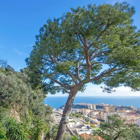 Charmante Maison - Proche Monaco - Piscine Partagee - Dp 아파트